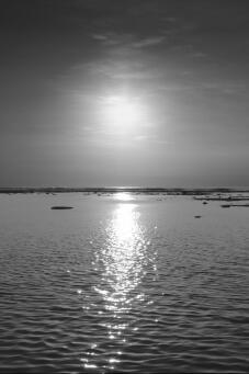 ILAN EL Horizon XVII - Nocturne's Edge - 8