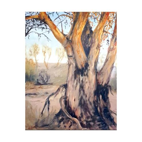 SHANON BRADBURN Dry season