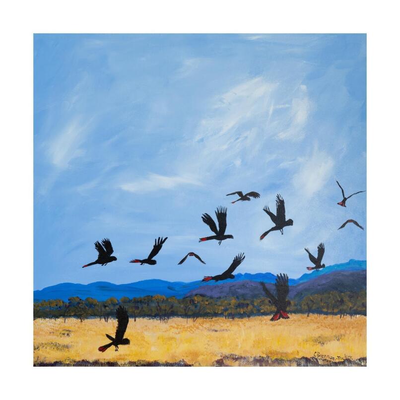 CAROLYN BRENNAN-TUCKER Crazy Cockies