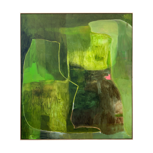 Topography of Light
