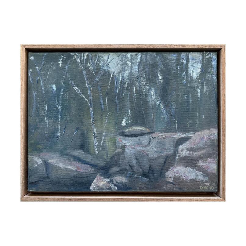 DAVID CAMPBELL Woolshed Falls