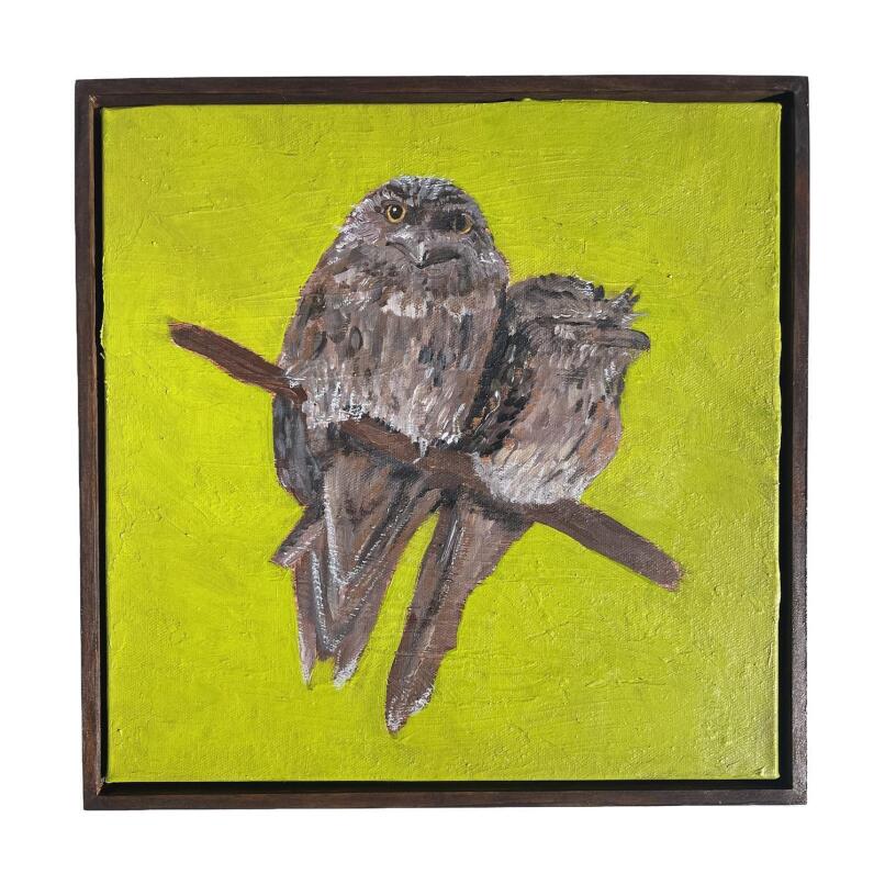 ERIN COLLINS Tawny frogmouths