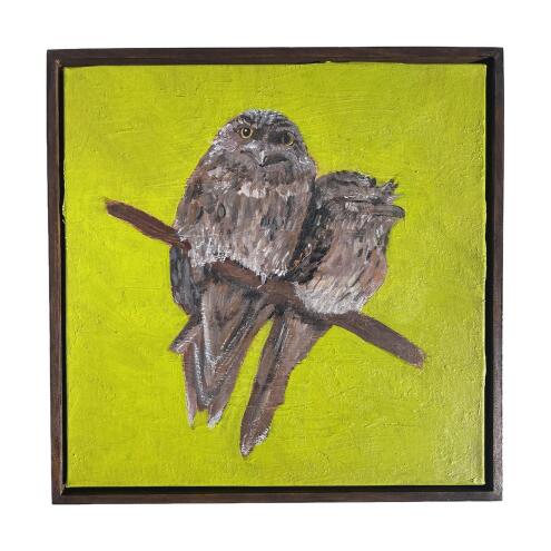 ERIN COLLINS Tawny frogmouths