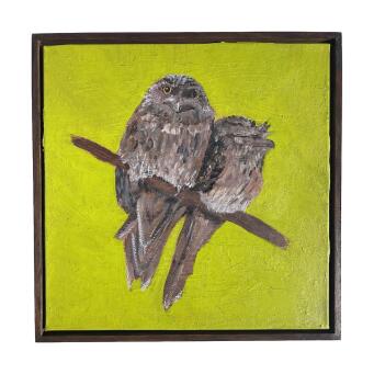 ERIN COLLINS Tawny frogmouths