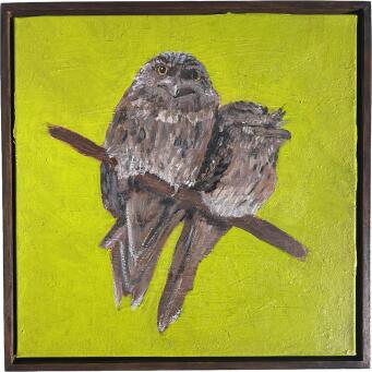 ERIN COLLINS Tawny frogmouths - 3