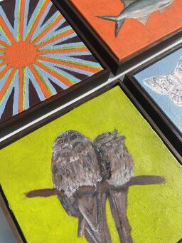 ERIN COLLINS Tawny frogmouths - 4