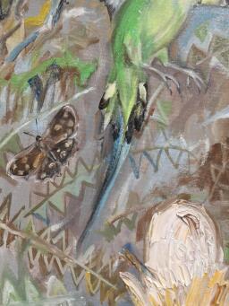 LIZ LOVELL The Budgerigar Society - 5