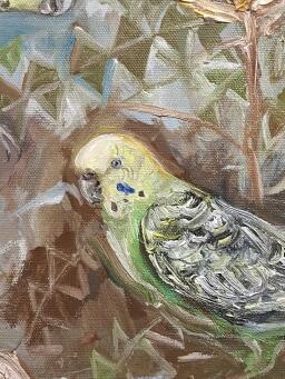 LIZ LOVELL The Budgerigar Society - 7