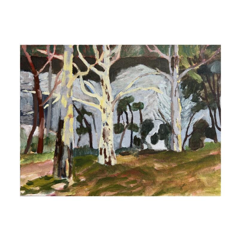 LYNNE FLEMONS Shoalhaven River at Bundanon