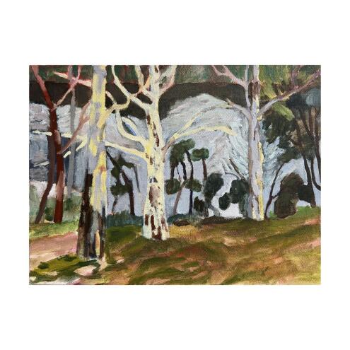LYNNE FLEMONS Shoalhaven River at Bundanon