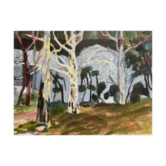 LYNNE FLEMONS Shoalhaven River at Bundanon