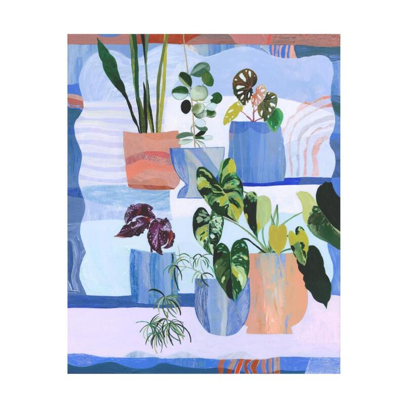 GEORGIE DAPHNE Plant Shelfie