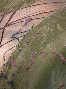 ELENA BERKOVICH Lost in the forest - 5
