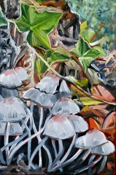 STEVEN HALL Coprinellus - 4
