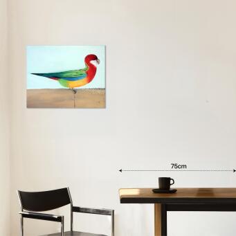 JOHN GRAHAM Eastern Rosella - 2