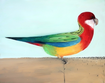JOHN GRAHAM Eastern Rosella - 3