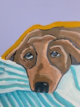 SAM MYERS A dog, a blanket, and a very good excuse - 7