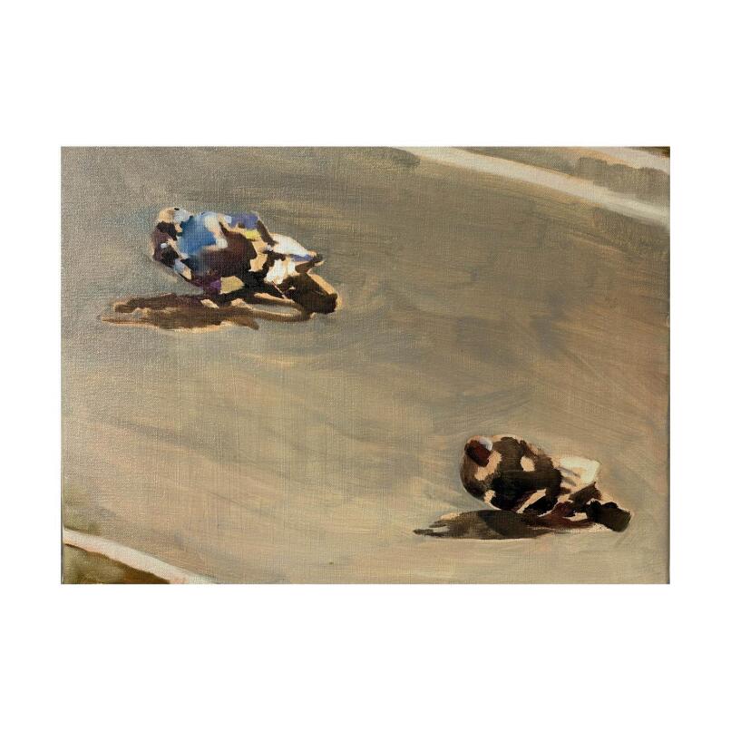 EMILIE SYME-LAMONT The Race