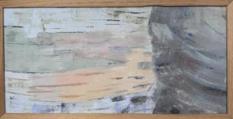 DAVID CAMPBELL Memories of Lichen - 3