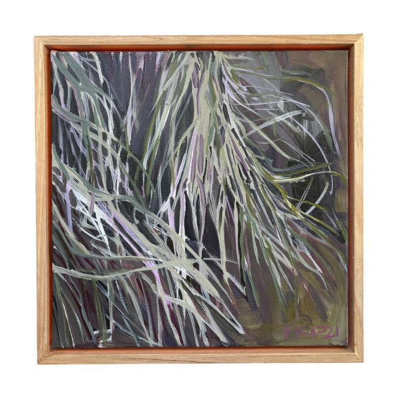 HOPPY SCHNEIDER SheOak
