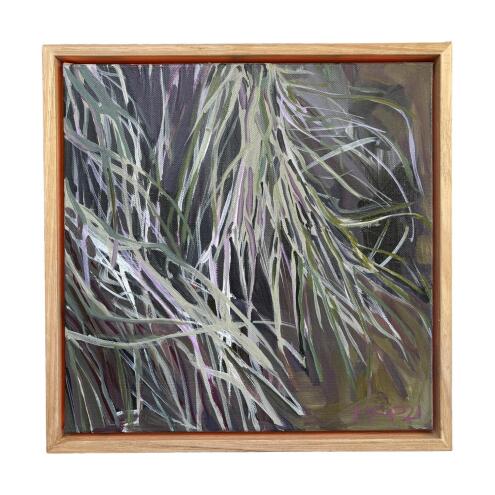 HOPPY SCHNEIDER SheOak