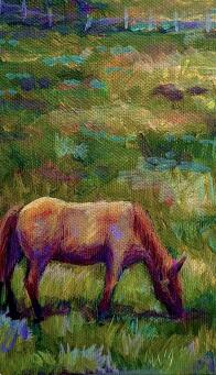 BRONWYN TRACEY Horse snacks at sunset - 6