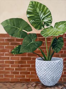 PIA REYNOLDS Elephant Ear - 3