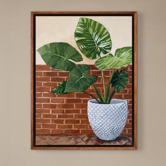 PIA REYNOLDS Elephant Ear - 4