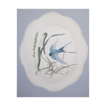 TANIA MASON Blue bird sparrow in the reeds