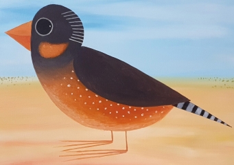 JOHN GRAHAM Zebra Finch - 4