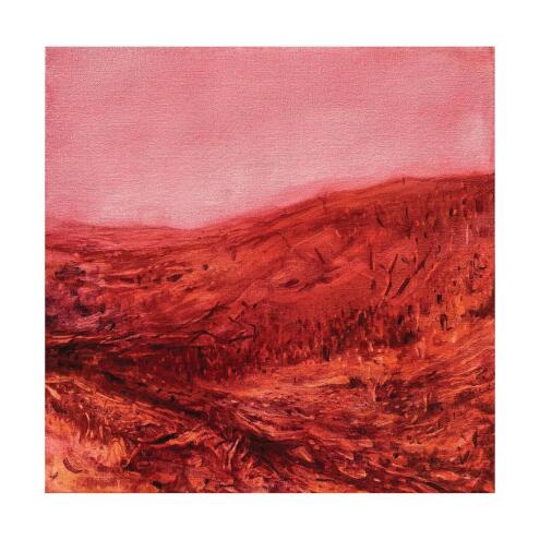 SOPHIE BRAY The sun falls