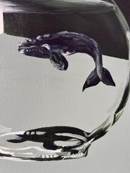 PRUDENCE COBURN Behind Glass (Southern Right Whale) - 4