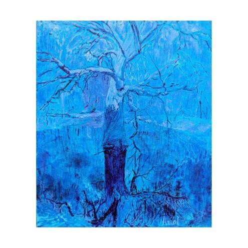 ARIEL DE RAMOS MOLINA Tree in a lagoon