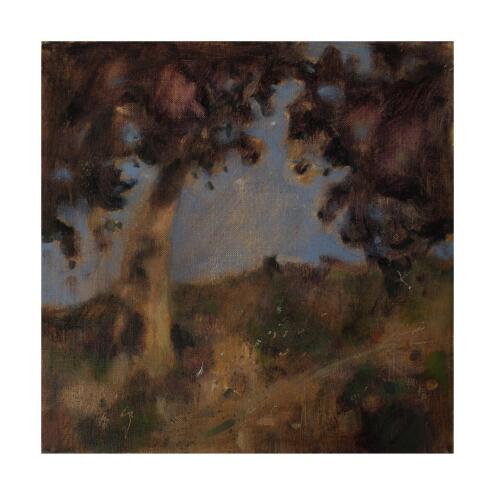 JEN PRIOR Trees passing