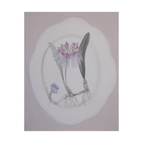 TANIA MASON Cattleya on a pink plate