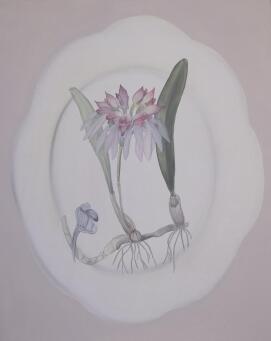 TANIA MASON Cattleya on a pink plate - 3