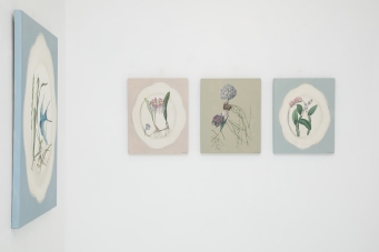 TANIA MASON Cattleya on a pink plate - 4