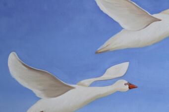 MARIE AUBELINE HIOT Feeling of Freedom - 6
