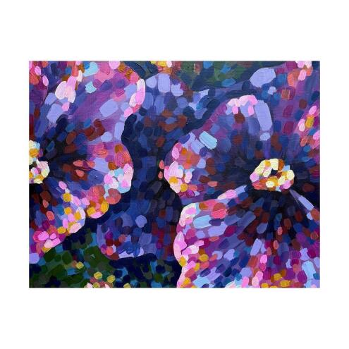 BRONWYN TRACEY Pops of pansy colour