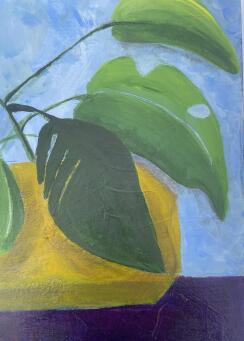ALLISON JOHNSON _Room_To_Bloom_ - 4