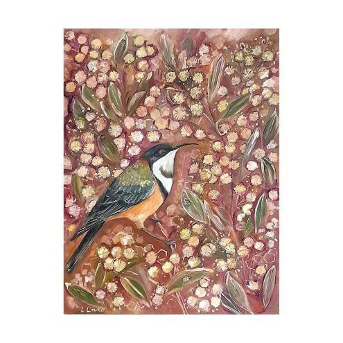 LIZ LOVELL Eastern Spinebill among Acacia blooms