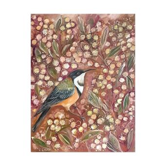 LIZ LOVELL Eastern Spinebill among Acacia blooms