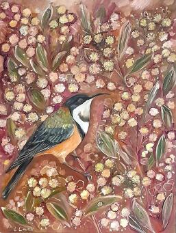 LIZ LOVELL Eastern Spinebill among Acacia blooms - 3