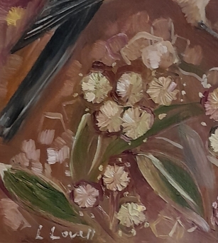 LIZ LOVELL Eastern Spinebill among Acacia blooms - 5