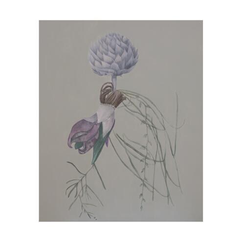 TANIA MASON Lost grasslands