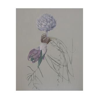 TANIA MASON Lost grasslands