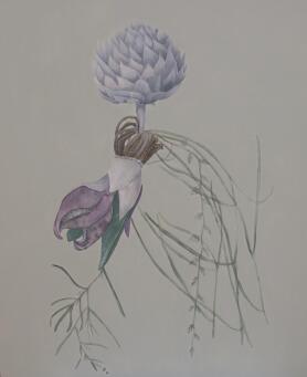 TANIA MASON Lost grasslands - 3