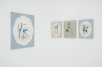TANIA MASON Lost grasslands - 4