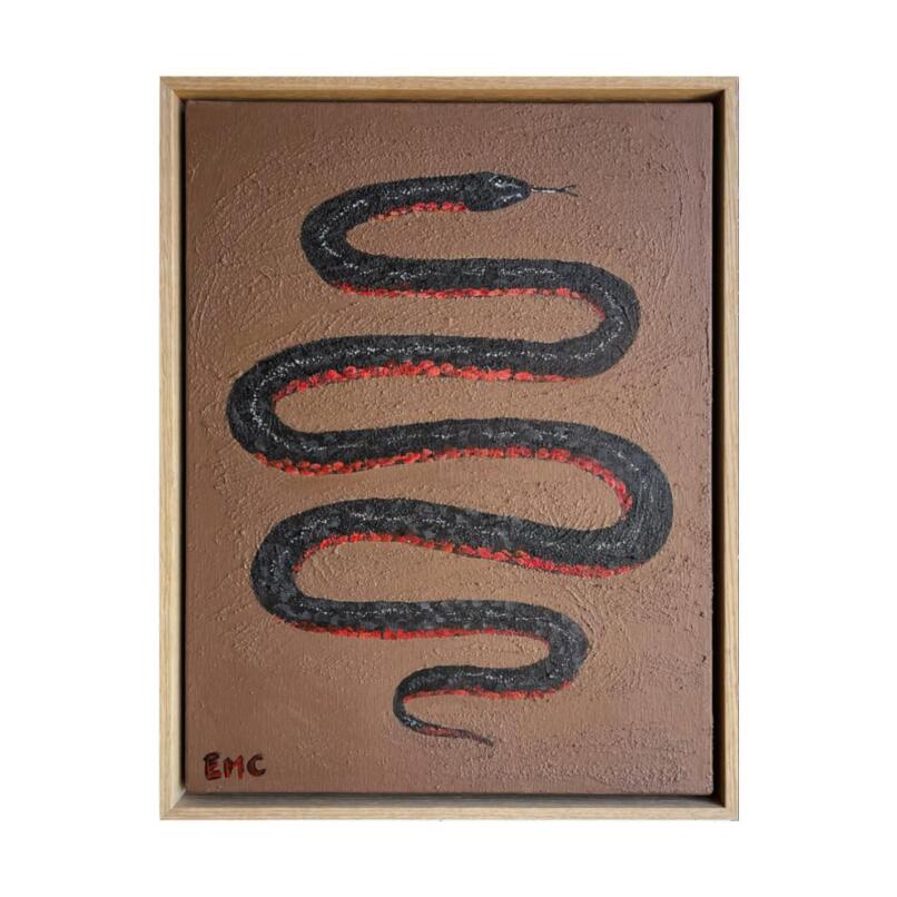 ERIN COLLINS Red-bellied black snake