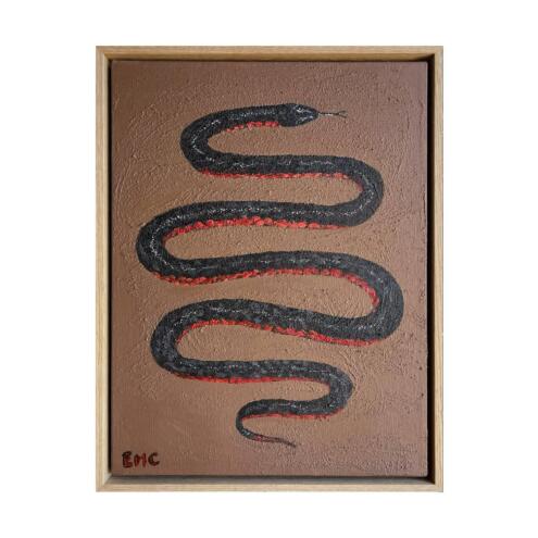 ERIN COLLINS Red-bellied black snake